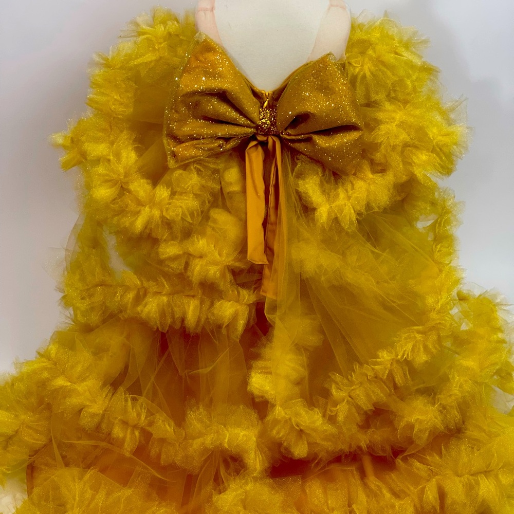 Tulle dress